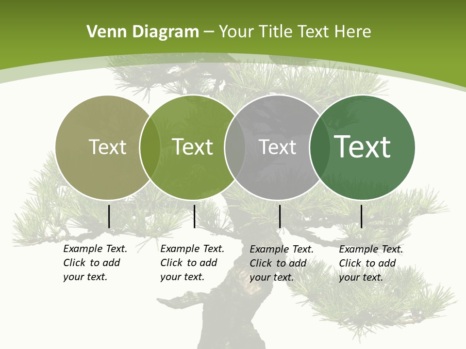 Leaf Pine Gnarled PowerPoint Template