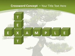 Leaf Pine Gnarled PowerPoint Template