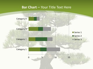 Leaf Pine Gnarled PowerPoint Template