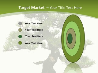 Leaf Pine Gnarled PowerPoint Template