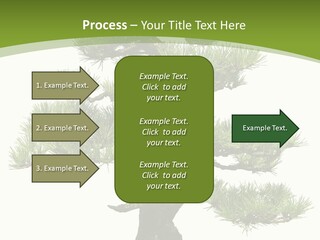 Leaf Pine Gnarled PowerPoint Template