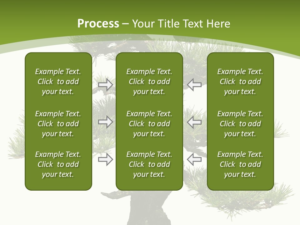 Leaf Pine Gnarled PowerPoint Template