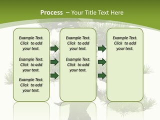 Leaf Pine Gnarled PowerPoint Template