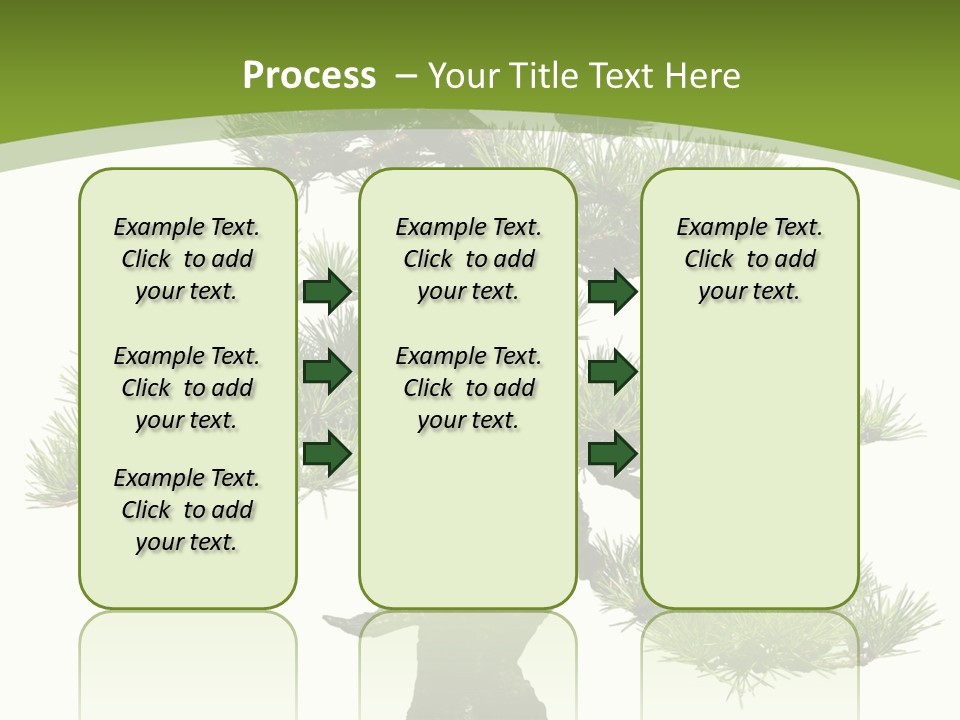 Leaf Pine Gnarled PowerPoint Template