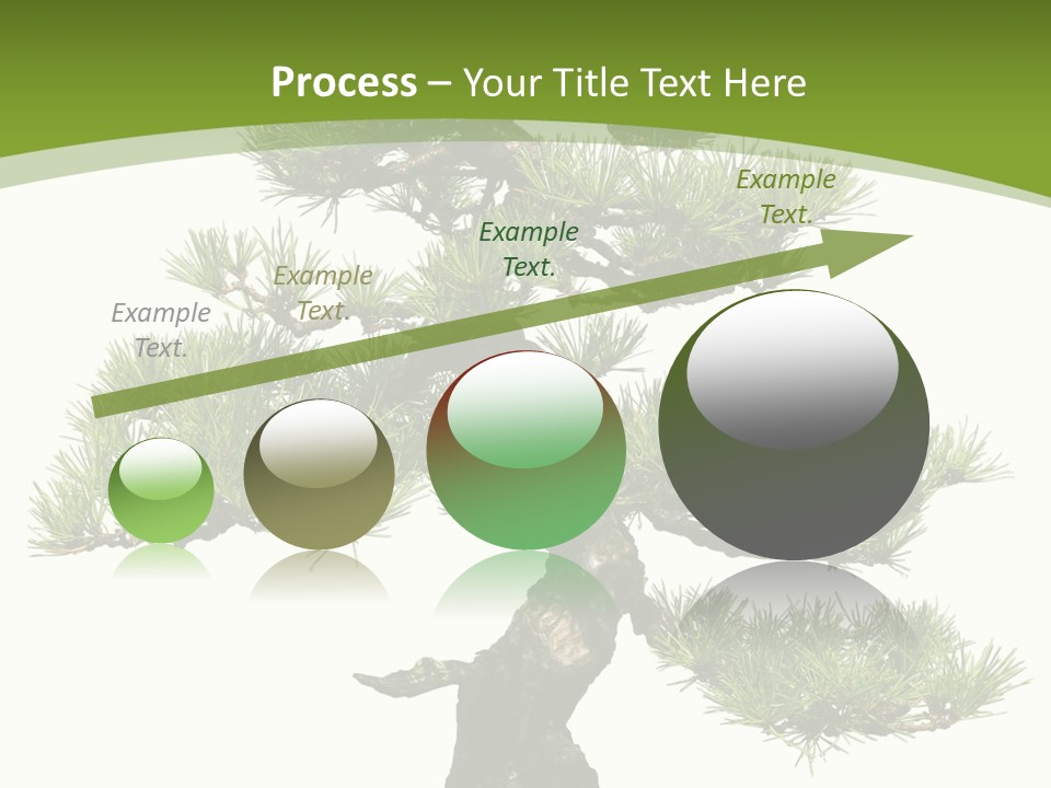 Leaf Pine Gnarled PowerPoint Template