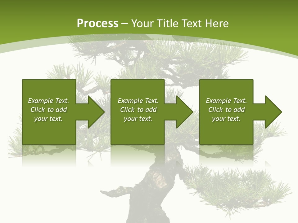 Leaf Pine Gnarled PowerPoint Template