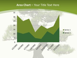 Leaf Pine Gnarled PowerPoint Template