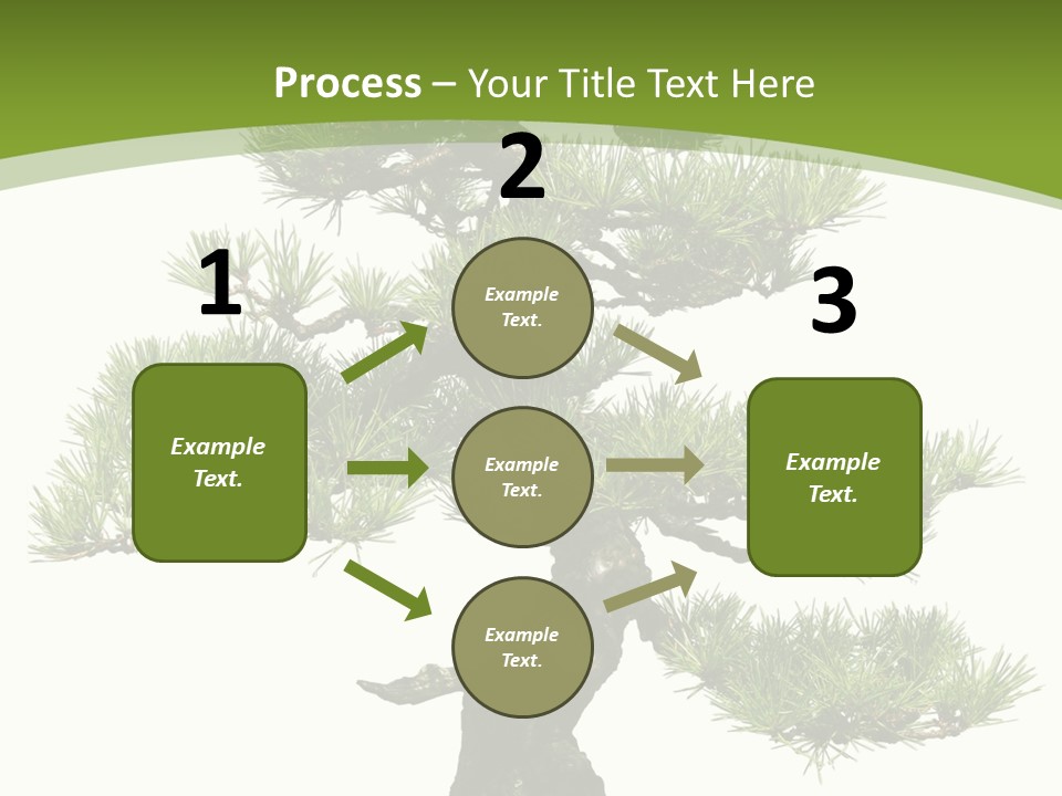 Leaf Pine Gnarled PowerPoint Template