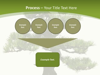 Leaf Pine Gnarled PowerPoint Template