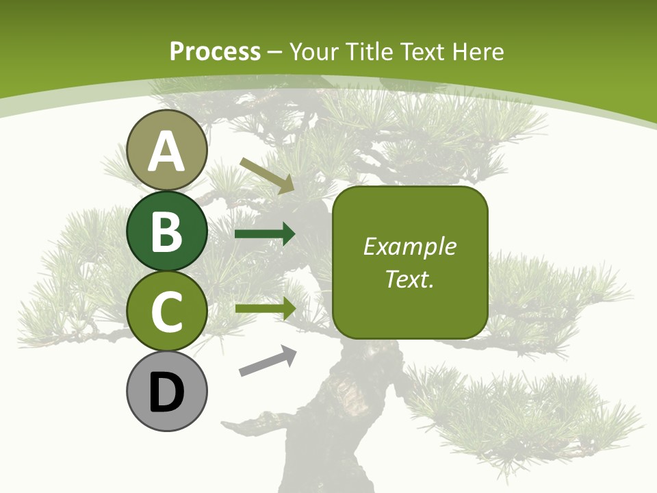 Leaf Pine Gnarled PowerPoint Template