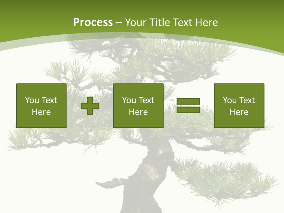 Leaf Pine Gnarled PowerPoint Template