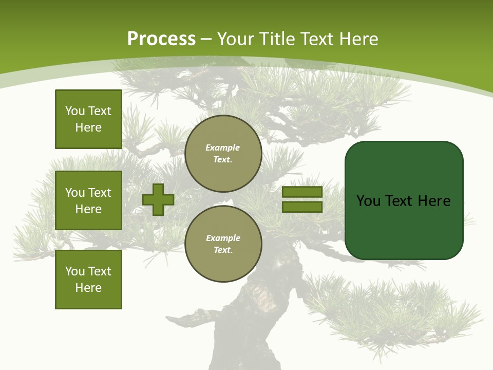 Leaf Pine Gnarled PowerPoint Template