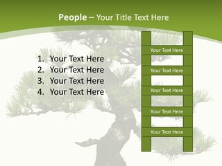 Leaf Pine Gnarled PowerPoint Template