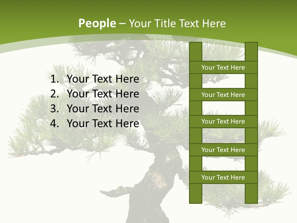 Leaf Pine Gnarled PowerPoint Template