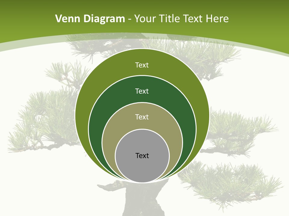 Leaf Pine Gnarled PowerPoint Template