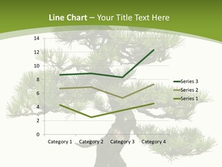 Leaf Pine Gnarled PowerPoint Template