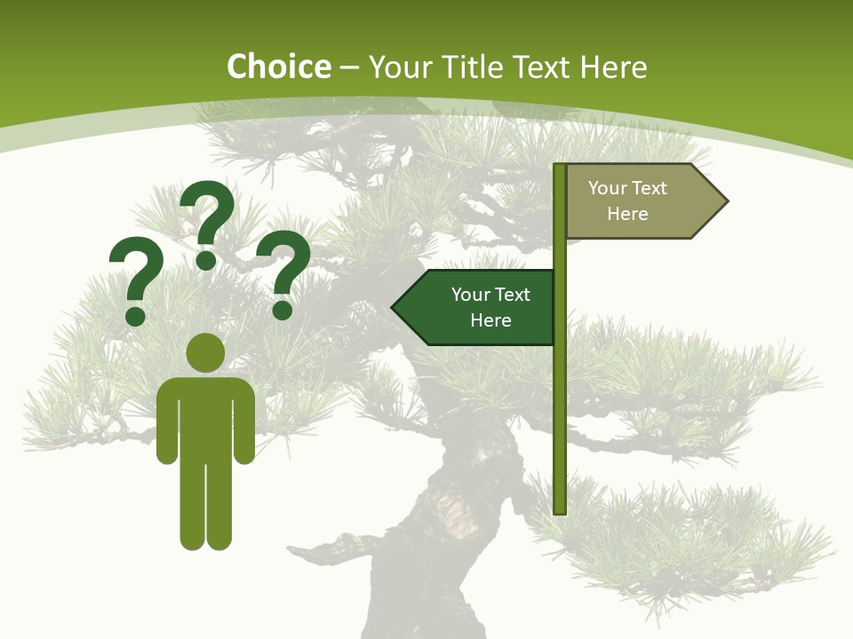 Leaf Pine Gnarled PowerPoint Template