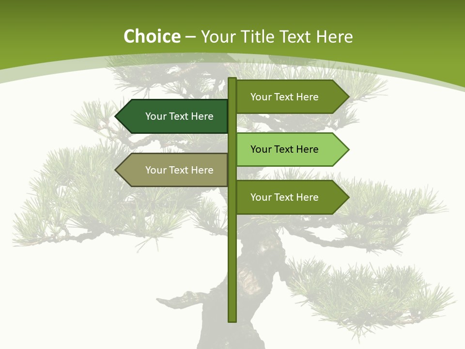 Leaf Pine Gnarled PowerPoint Template