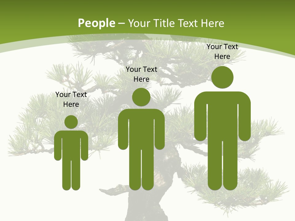 Leaf Pine Gnarled PowerPoint Template