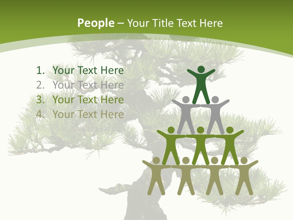Leaf Pine Gnarled PowerPoint Template