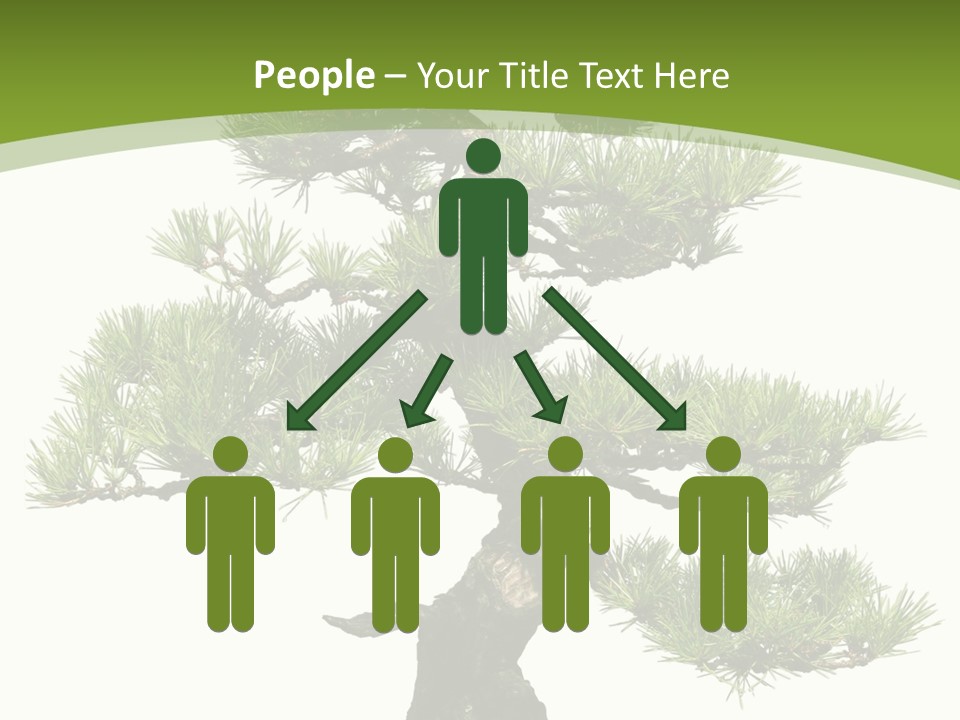 Leaf Pine Gnarled PowerPoint Template