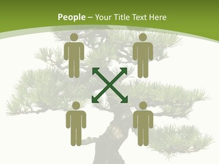 Leaf Pine Gnarled PowerPoint Template