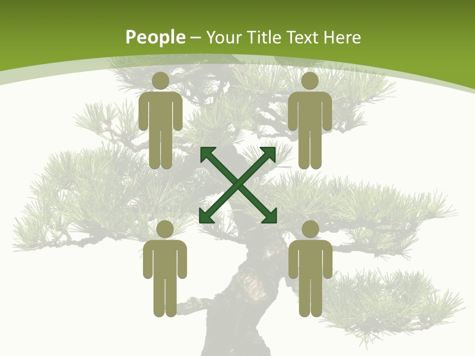 Leaf Pine Gnarled PowerPoint Template