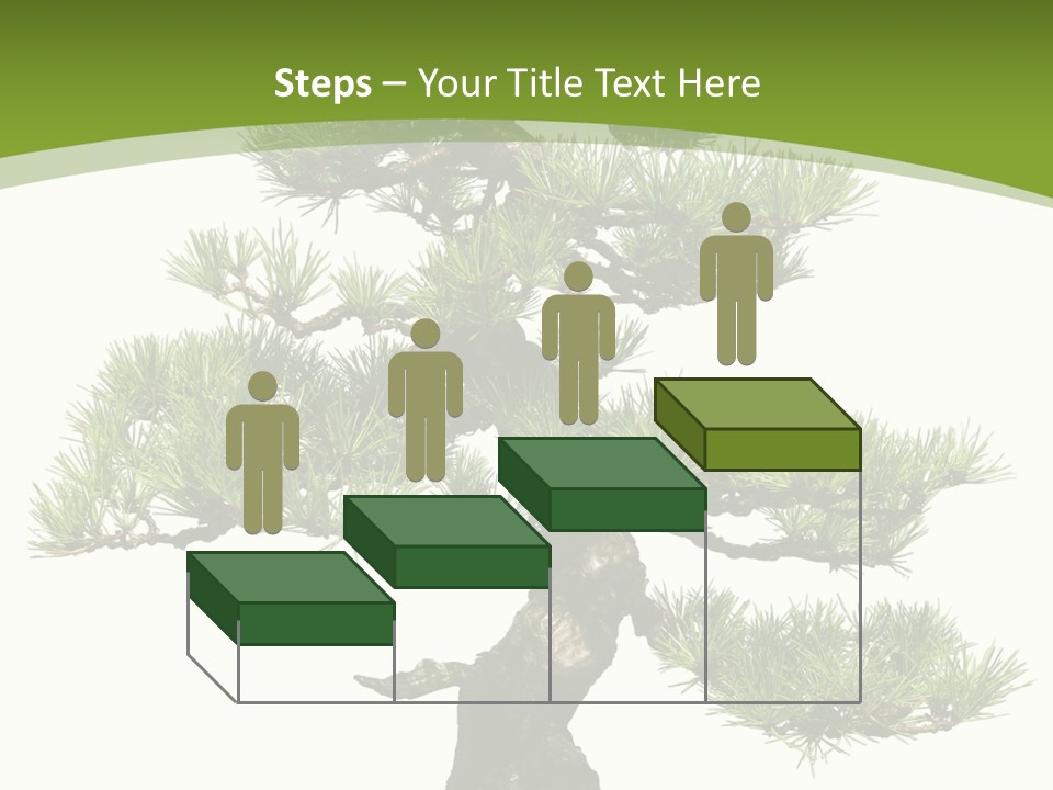 Leaf Pine Gnarled PowerPoint Template