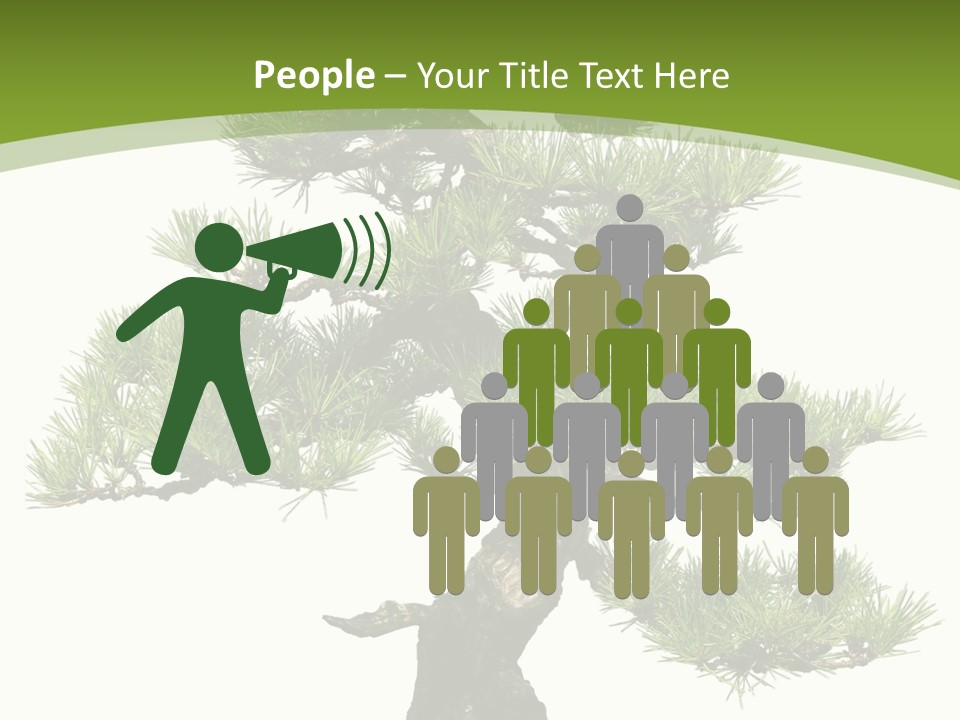 Leaf Pine Gnarled PowerPoint Template