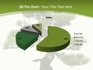 Leaf Pine Gnarled PowerPoint Template