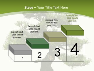 Leaf Pine Gnarled PowerPoint Template