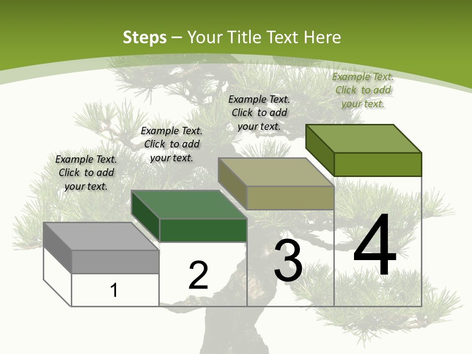 Leaf Pine Gnarled PowerPoint Template