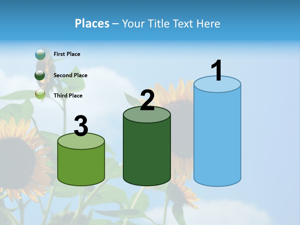 Colour Background Oil PowerPoint Template