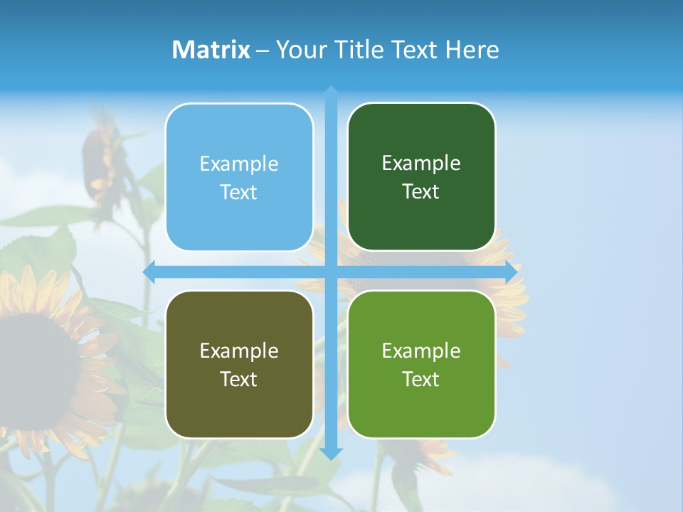 Colour Background Oil PowerPoint Template