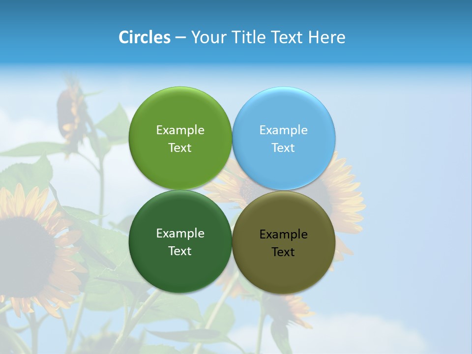 Colour Background Oil PowerPoint Template