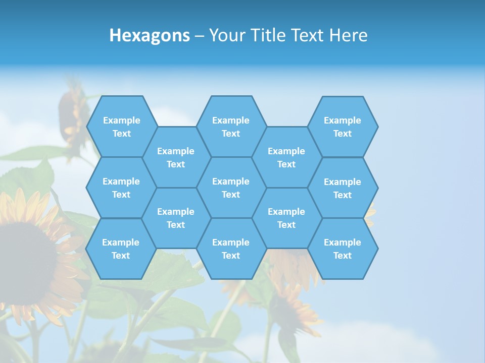 Colour Background Oil PowerPoint Template