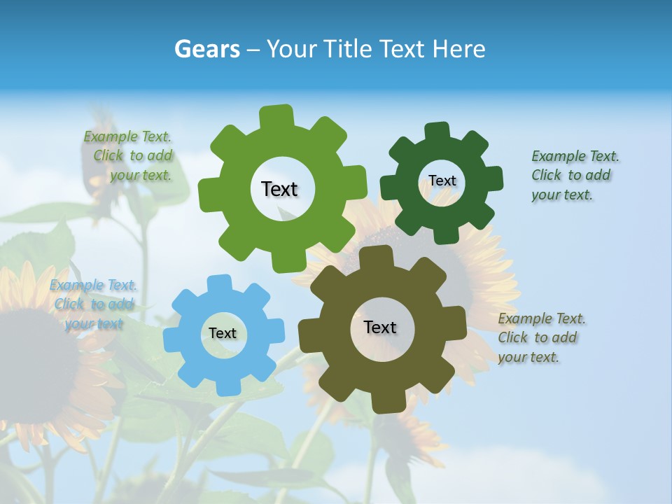 Colour Background Oil PowerPoint Template