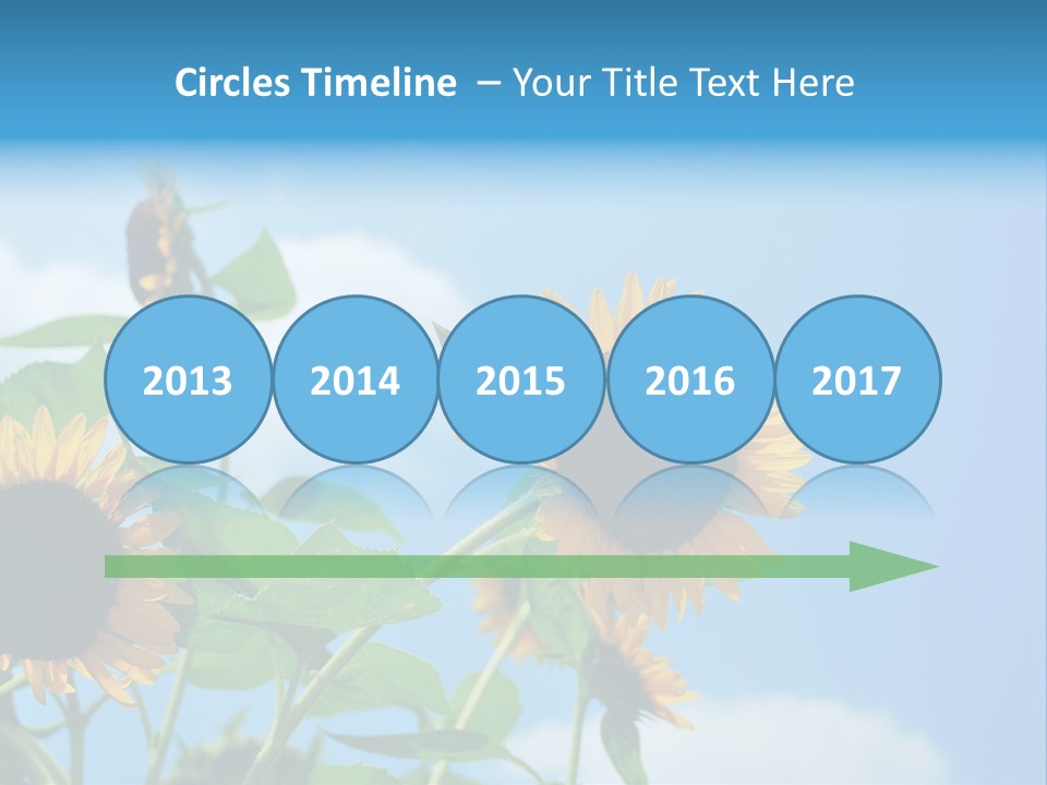 Colour Background Oil PowerPoint Template