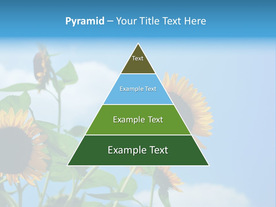 Colour Background Oil PowerPoint Template