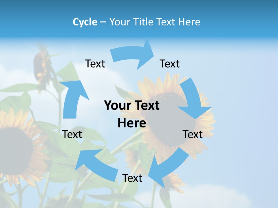 Colour Background Oil PowerPoint Template