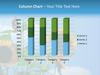 Colour Background Oil PowerPoint Template