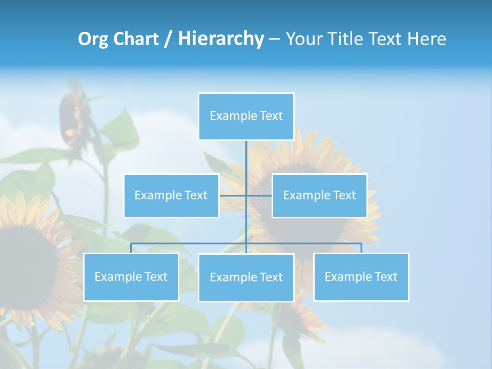 Colour Background Oil PowerPoint Template