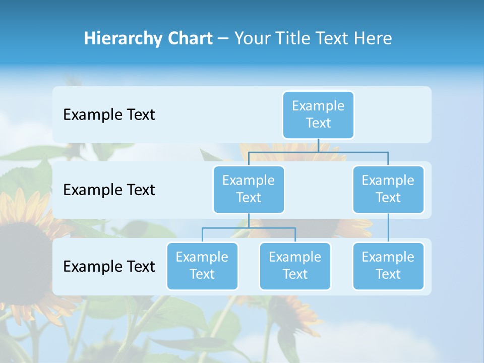 Colour Background Oil PowerPoint Template
