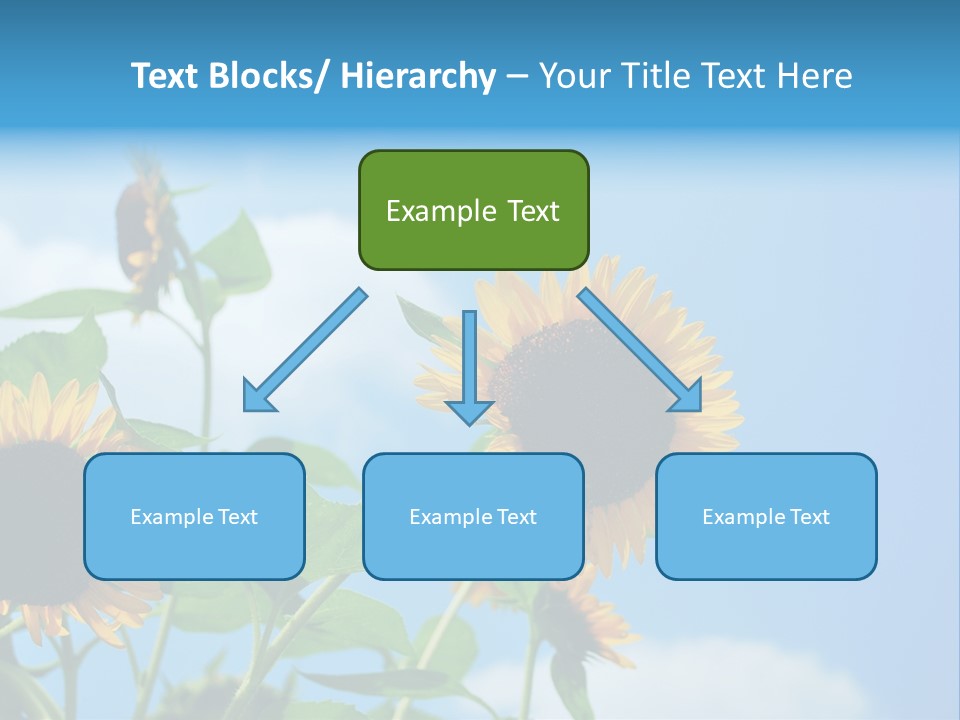 Colour Background Oil PowerPoint Template