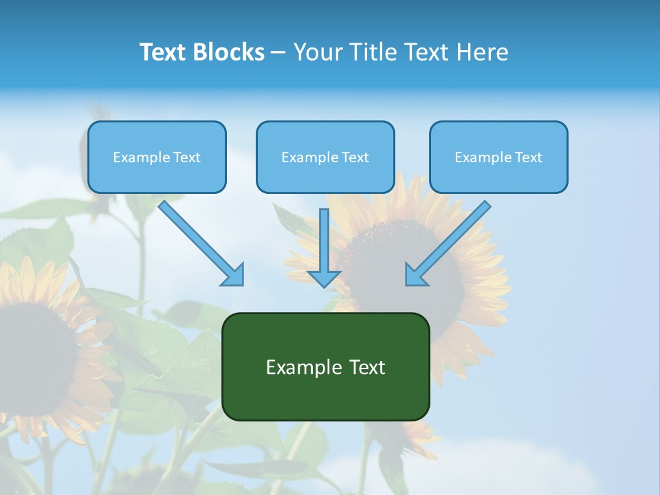 Colour Background Oil PowerPoint Template