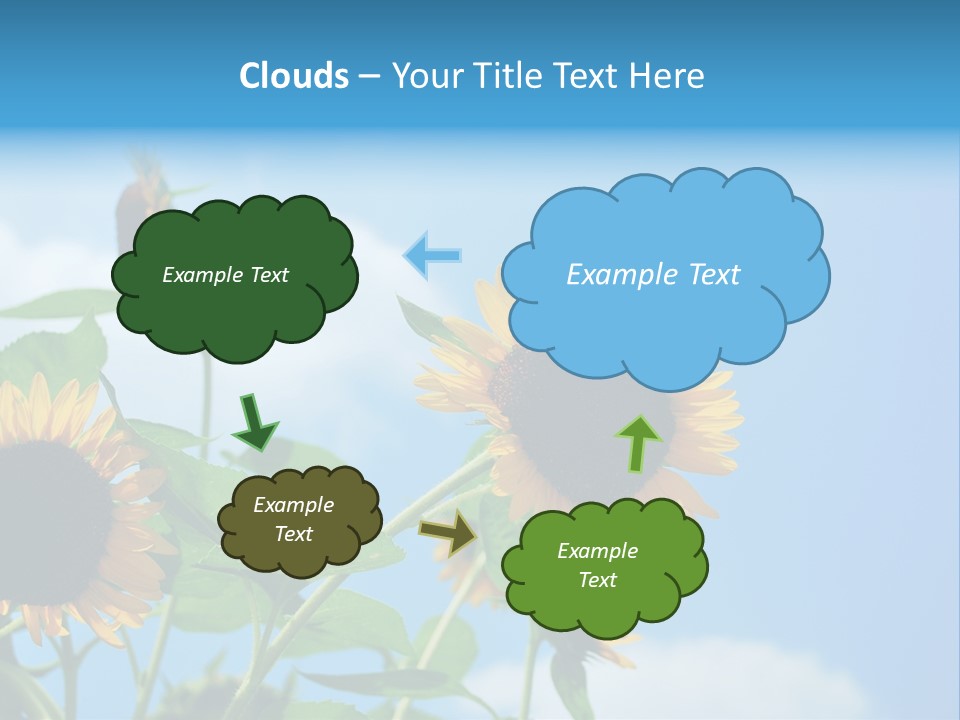 Colour Background Oil PowerPoint Template