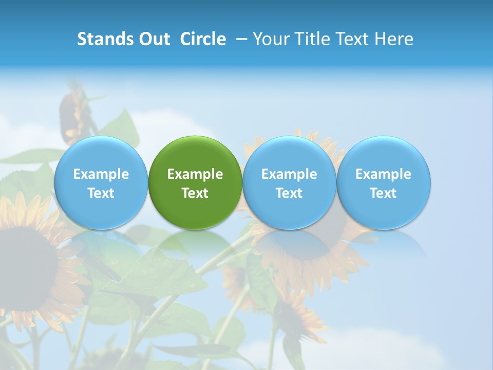 Colour Background Oil PowerPoint Template