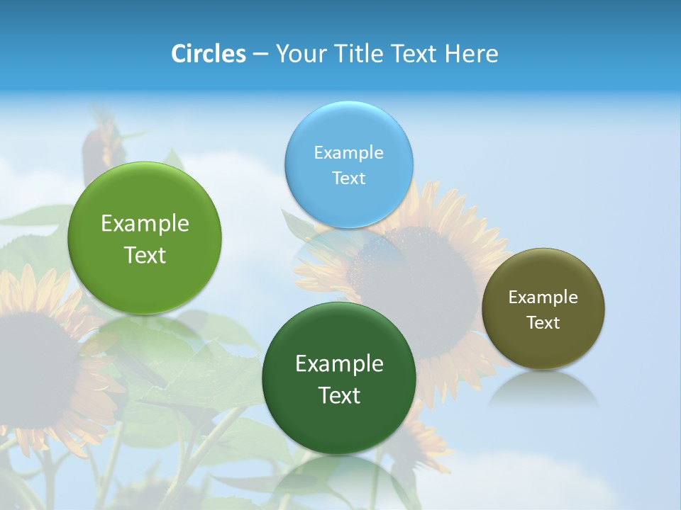 Colour Background Oil PowerPoint Template