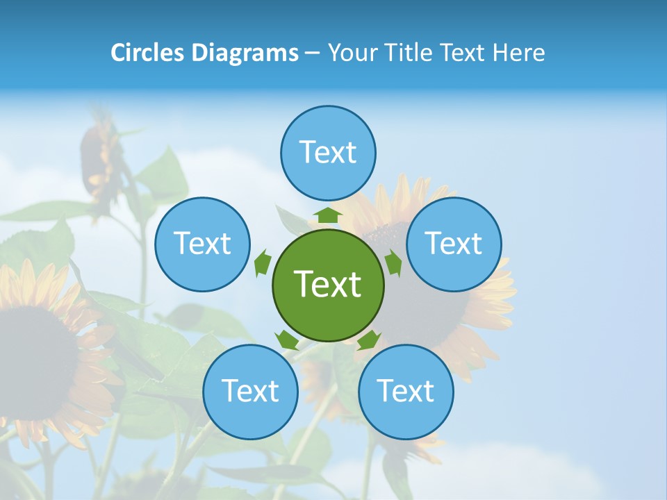 Colour Background Oil PowerPoint Template