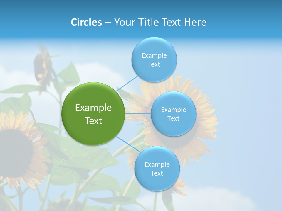 Colour Background Oil PowerPoint Template